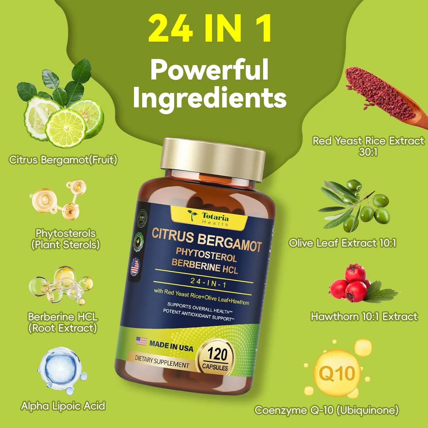 2 Packs Citrus Bergamot Capsules for Healthy Cholesterol - 1566mg Per Serving Bergamot Supplements 25:1 Extract from Italy Bergamot for Heart, Immune Support, Antioxidant