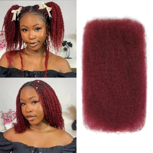 Afro Kinkys Bulk Human Hair, 12 inch 4c Curly Hair for Permanent Sister Locs/Mini Twists/Braids/Repair Can Dye and Bleach(50 Gram),99J