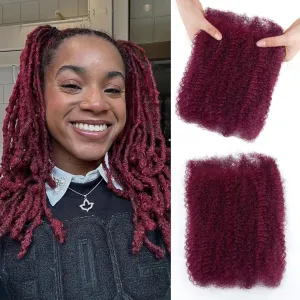 Afro Kinkys Bulk Human Hair for Repair Locs,100% Real Human Hair for Mini Twist,Dreadlocks Extensions Human Kinkyhair for Twist