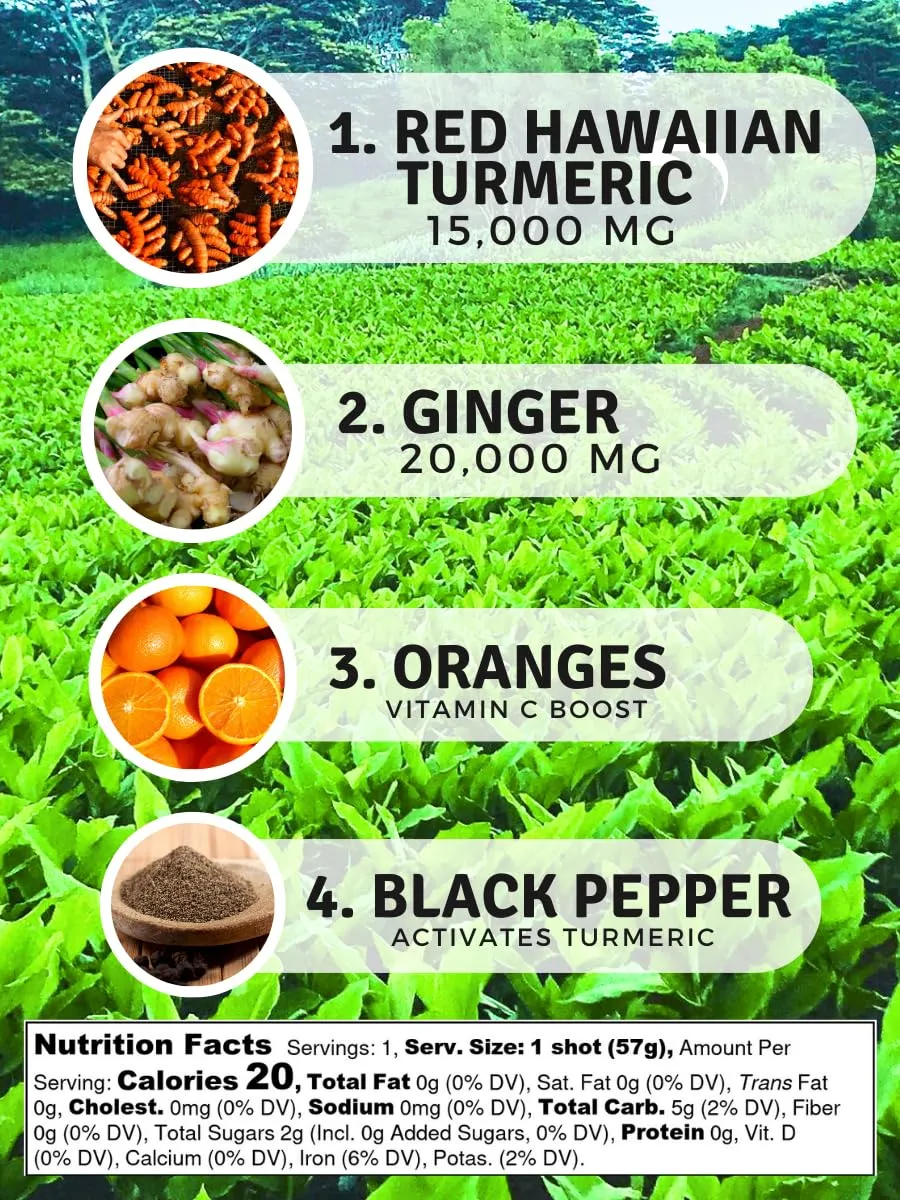 Elixir Shots Immunity Boost (12 Pack) Immunity Wellness Shot with Cold-Pressed Turmeric, Ginger, Orange and Black Pepper - No Added Sugars or Artificial Ingredients