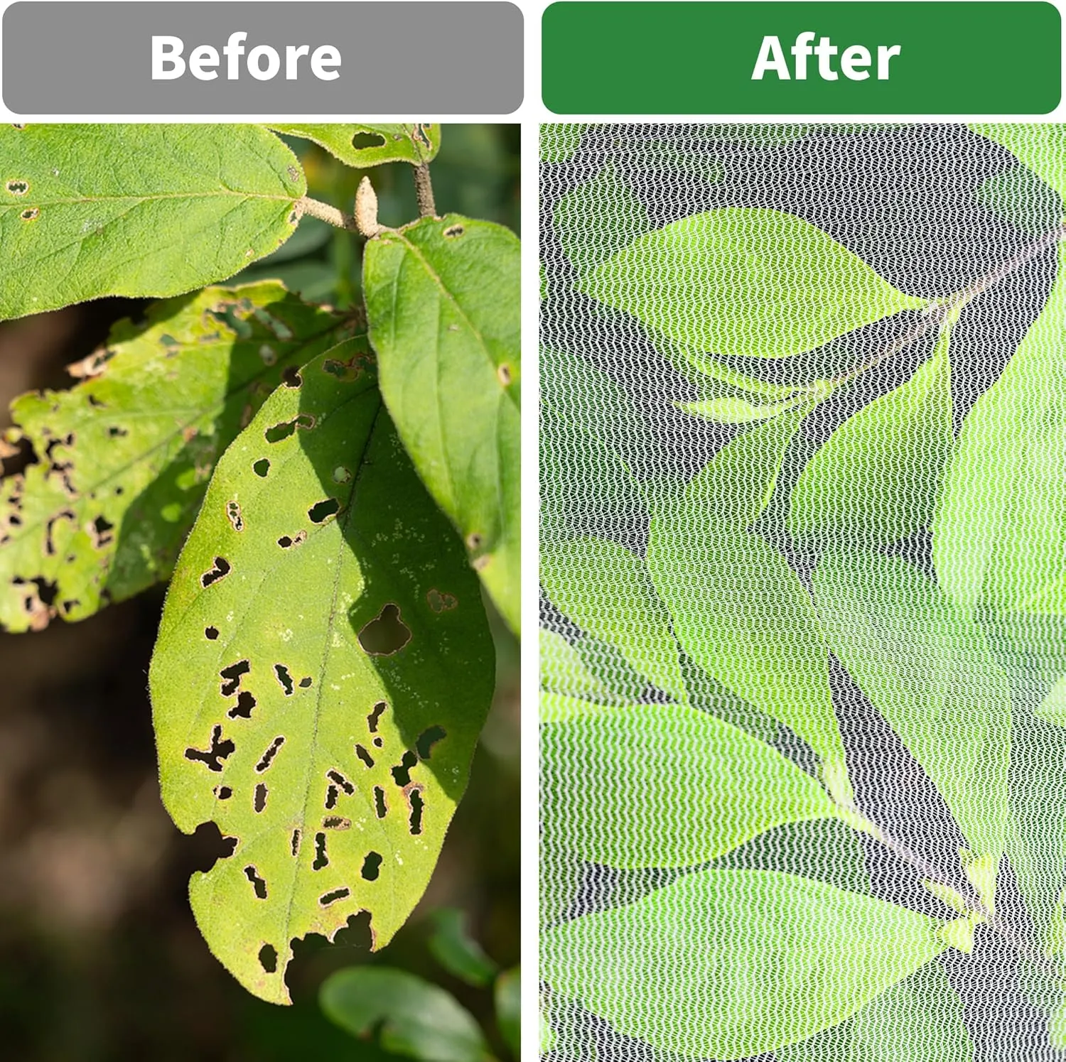 Garden Mesh Netting with Zipper,Plants Cover Protection from Anti Birds,Bugs,Cicadas,and Insects-Pest Barrier Bag for Blueberry Bushes,Citrus,Tomatoes,Vegetables,Fruit Tree and Orange