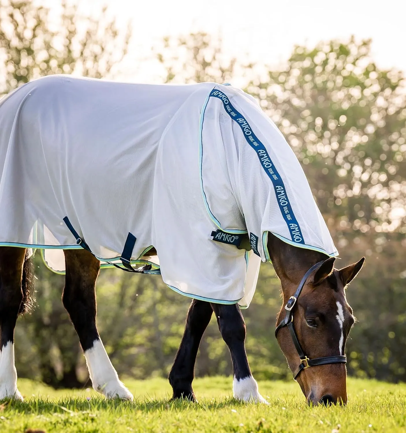 Horseware® Amigo® XL Bug Rug Fly Sheet with Disc Front Closure (0g Light)