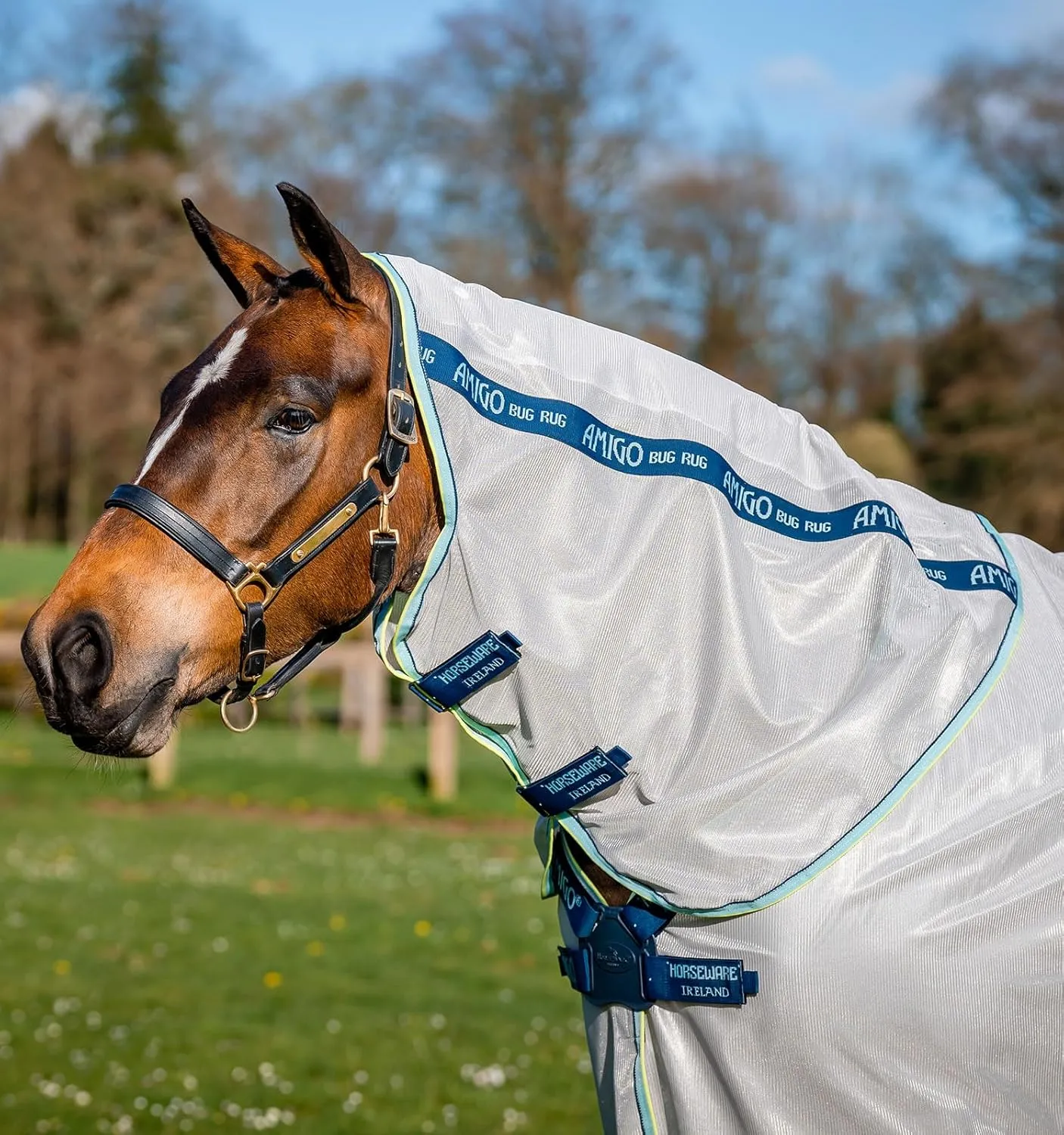 Horseware® Amigo® XL Bug Rug Fly Sheet with Disc Front Closure (0g Light)
