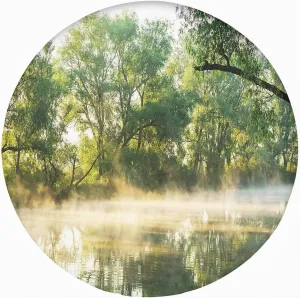 Nature Round Fitted Tablecloth with Elastic Edge,Surreal Misty Lake Scene Print Polyester Table Cover Small Fit Round Tables Diameter for Reception Restaurant Party Dining Banquet 72x72 in
