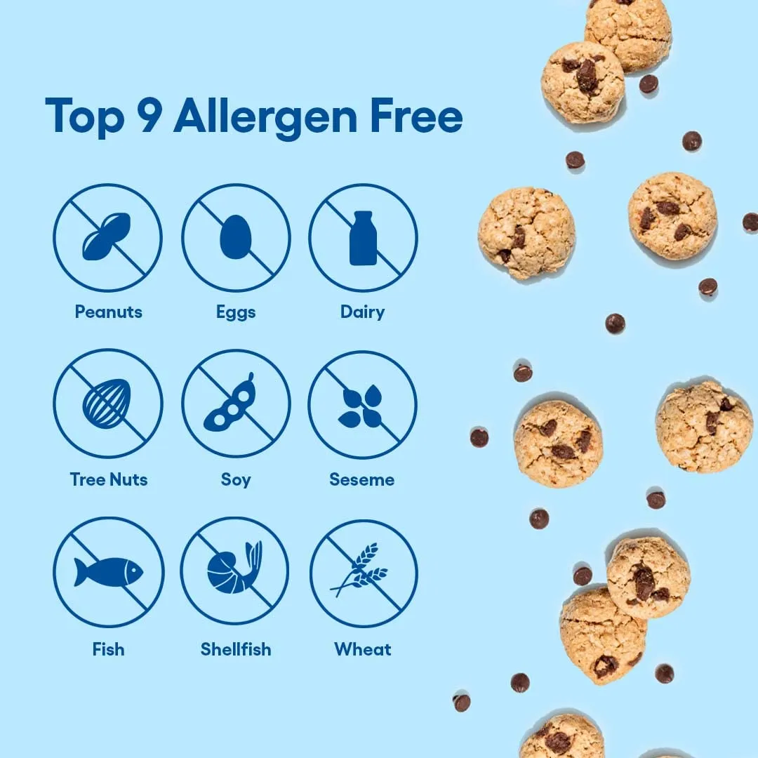 Partake Foods Gluten Free Chocolate Chip Mini Cookie Snack Packs (20 Packs)