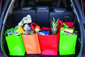 Reusable Reinforced Handle Grocery Tote Bag Large (10 Pack) Hunter green